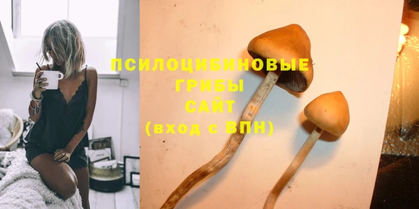 соль курить ск Михайлов