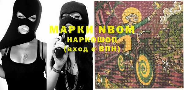 твердый Надым