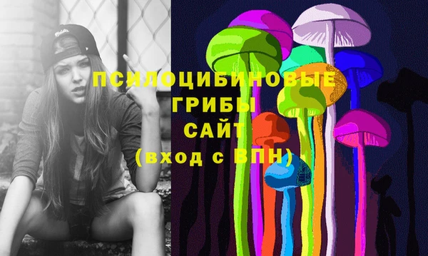 МДПВ Михайловка