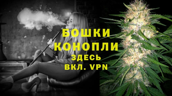 твердый Надым