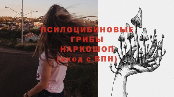 хмурый Навашино