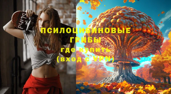 соль курить ск Михайлов
