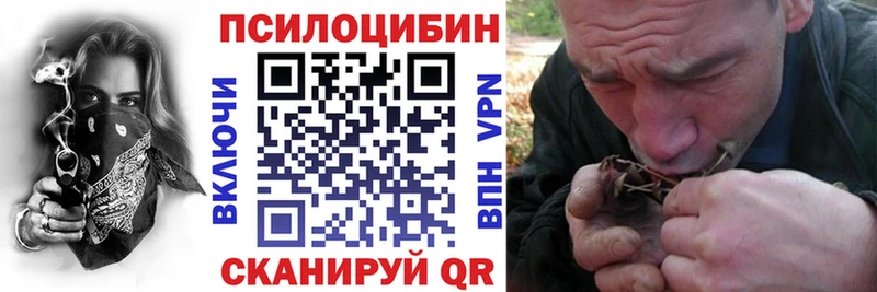 Галлюциногенные грибы ЛСД  Новосиль 